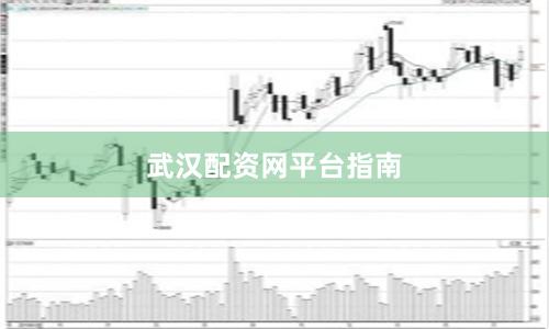 武汉配资网平台指南